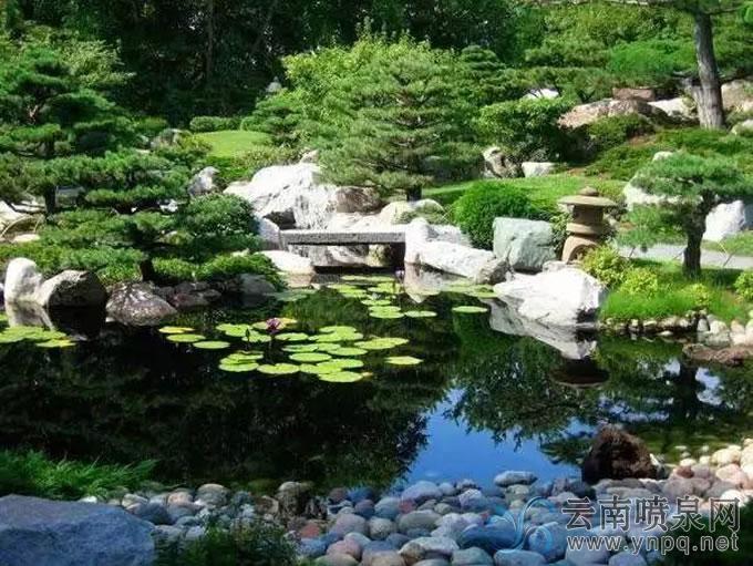 水景植物配置大全—水景工程中植物搭配技巧